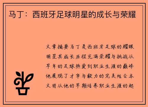 马丁：西班牙足球明星的成长与荣耀